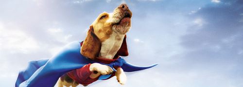 Film mit Beagle Underdog HundeBar, das Hund &amp; Herrchen Weblog