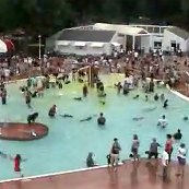 Große Pool Party für Hunde