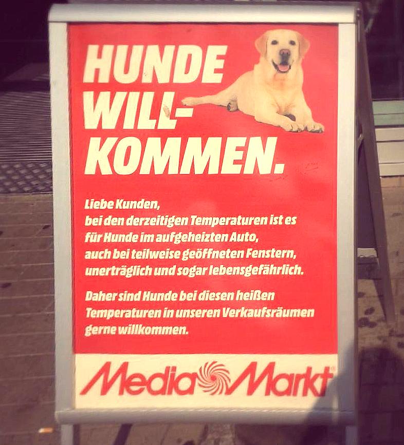 Media Markt heisst Hunde willkommen HundeBar, das Hund &amp; Herrchen Weblog